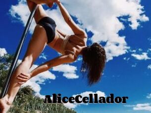 AliceCellador