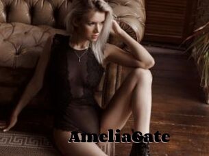 AmeliaGate