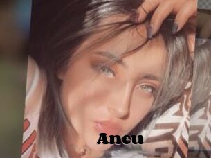 Aneu