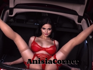 AnisiaCorner