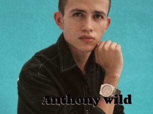 Anthony_wild