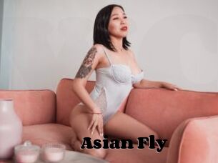 Asian_Fly