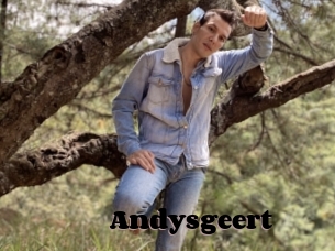 Andysgeert