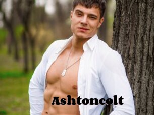 Ashtoncolt