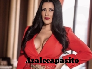 Azaleeapasito