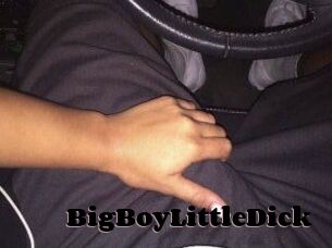 BigBoyLittleDick