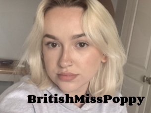 BritishMissPoppy