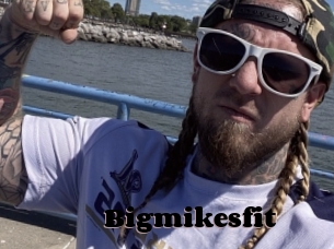 Bigmikesfit