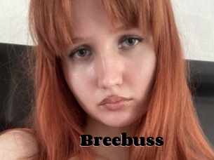 Breebuss