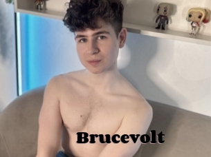 Brucevolt