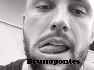 Brunopontes