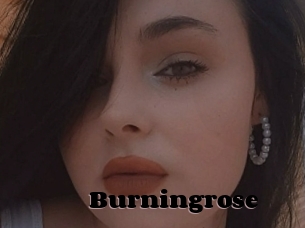 Burningrose