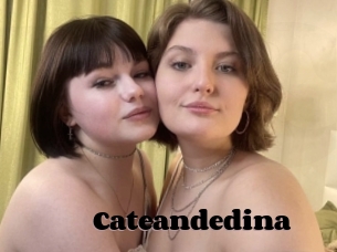 Cateandedina