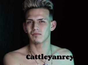 Cattleyanrey