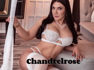 Chandrelrose