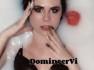 DomineerVi