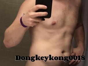 Dongkeykong0018