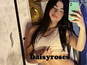 Daisyroses