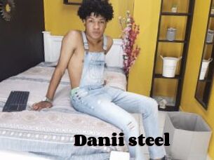 Danii_steel