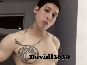 Davidl3630