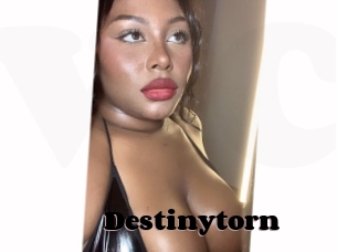 Destinytorn