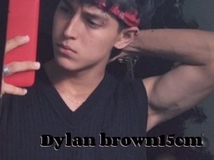 Dylan_brown15cm