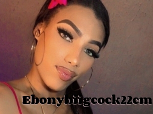 Ebonybiigcock22cm