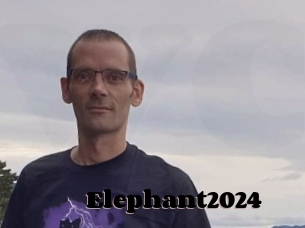 Elephant2024