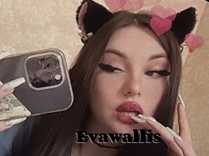 Evawallis