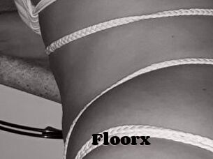 Floorx