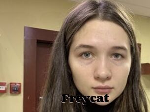 Freycat