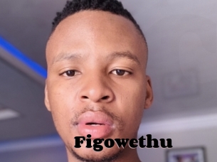 Figowethu