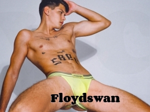 Floydswan