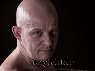 Gaylekker