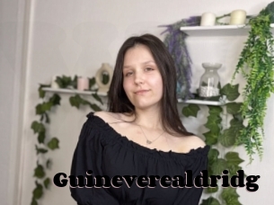 Guineverealdridg