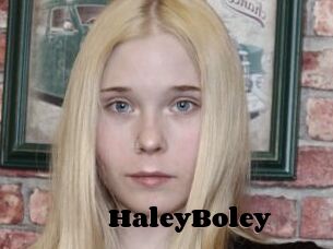 HaleyBoley