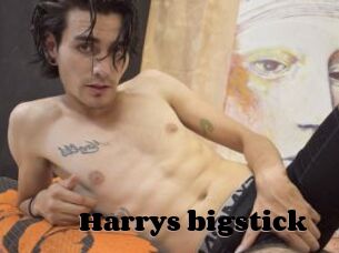 Harrys_bigstick