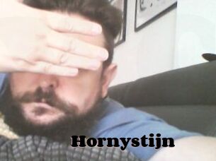 Hornystijn