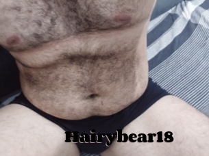 Hairybear18