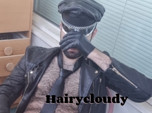 Hairycloudy