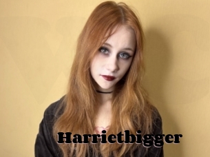 Harrietbigger