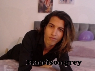 Harrisongrey