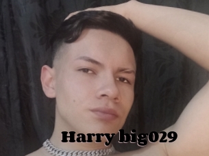 Harry_big029