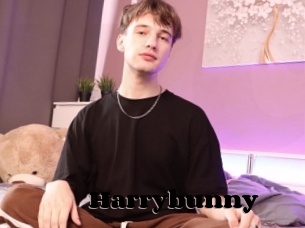 Harrybunny