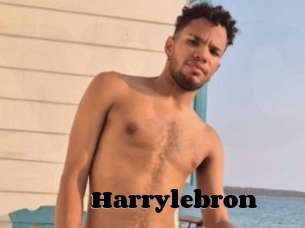 Harrylebron