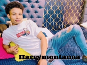 Harrymontanaa