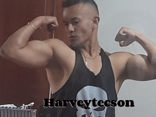 Harveytecson