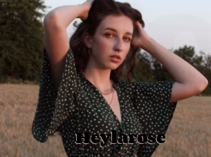 Heylarose