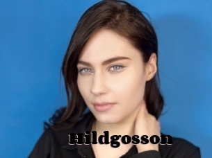 Hildgosson