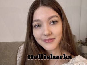 Hollisbarks